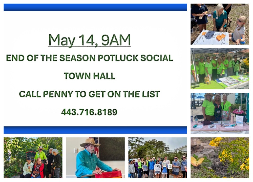 Food Fun and fellowship